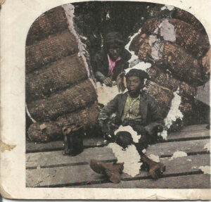 Enslaved Boys with Cotton Bales