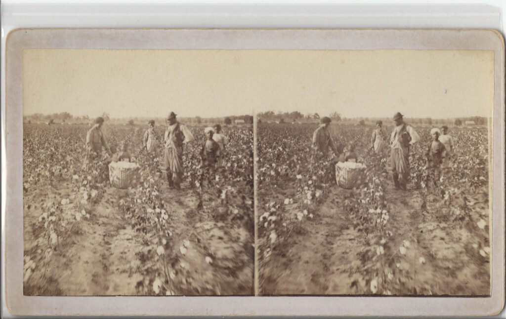 Slaves in Georgia Cottonfield