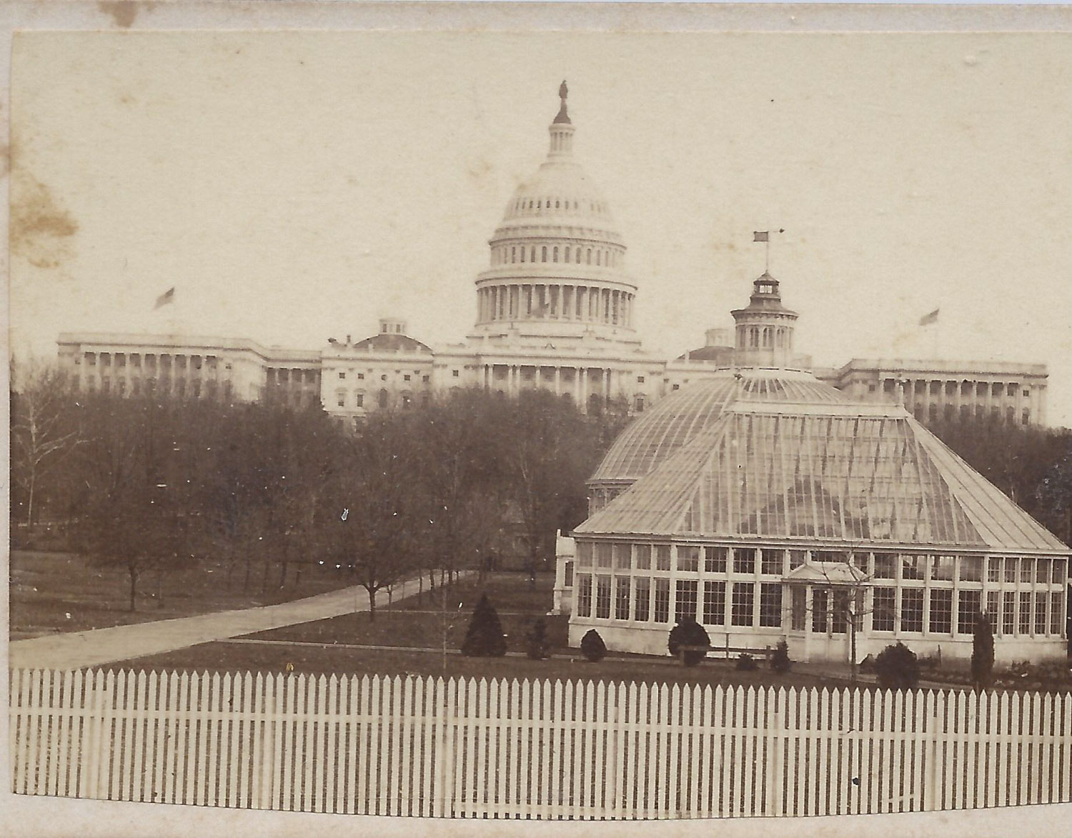 Capitol Greenhouse