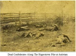 Confederate Dead at Antietam Along the Hagerstown Pike