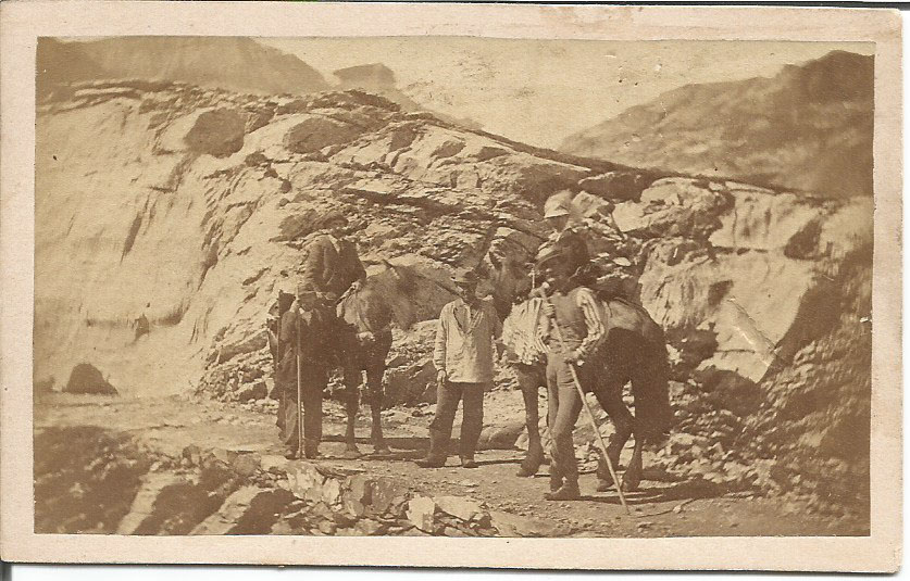 Visitors to Gold Mine Fields