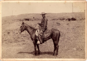 Cowboy on Mule