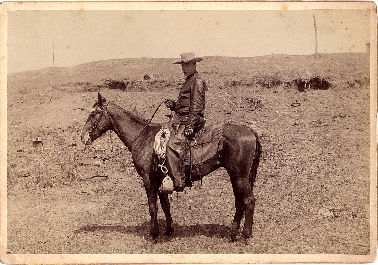 Cowboy on Mule