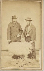 Unknown Sheep Dealers