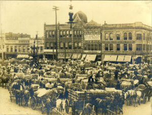 Montgomery Cotton Market