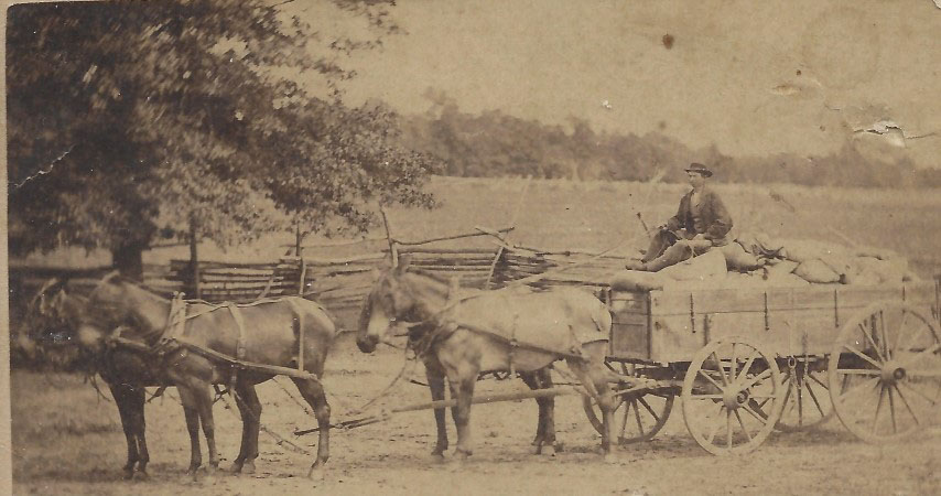 Farm Cart with Buggy